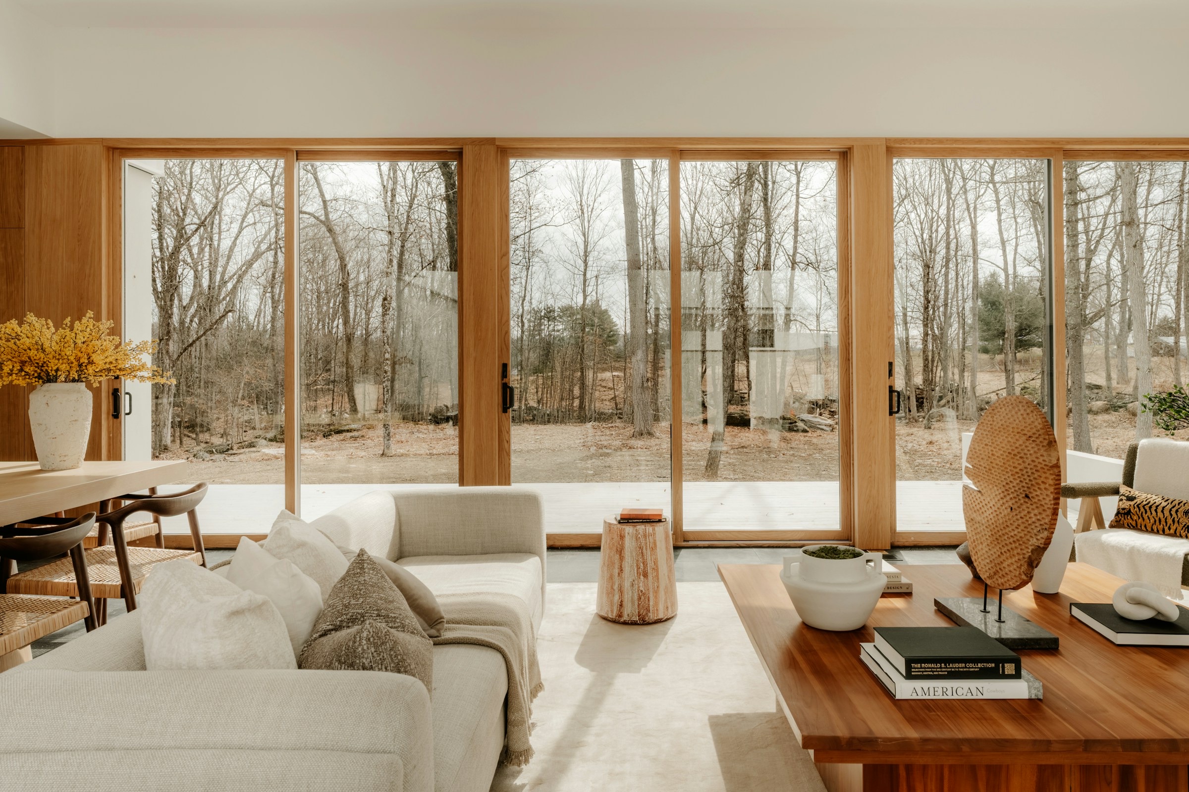 Cómo elegir las ventanas adecuadas para tu hogar